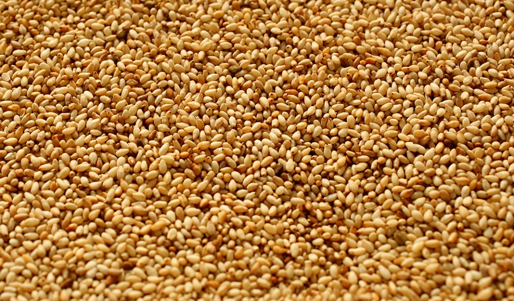 Toasted/Roasted Sesame Seed